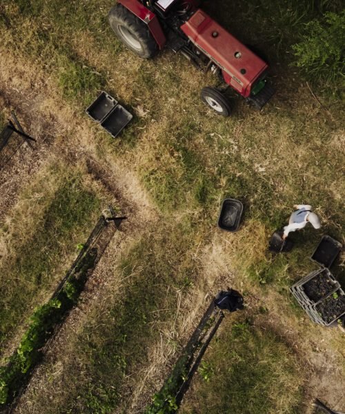 DJI_0650